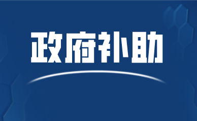 政府补助都有哪些形式_申报政策补助一般都有哪些方式将补助给到企业